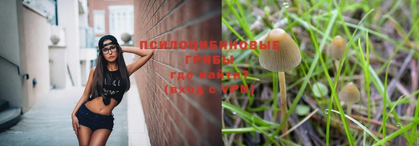 спайс Беломорск