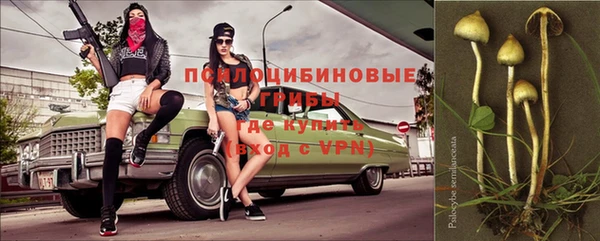 ешки Богородицк