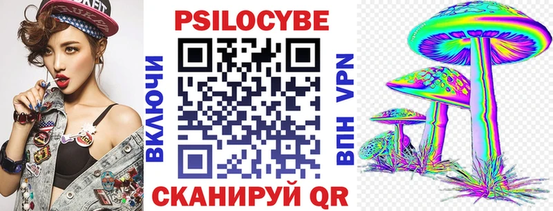 МЕГА зеркало  Улан-Удэ  Галлюциногенные грибы Psilocybe  продажа наркотиков 