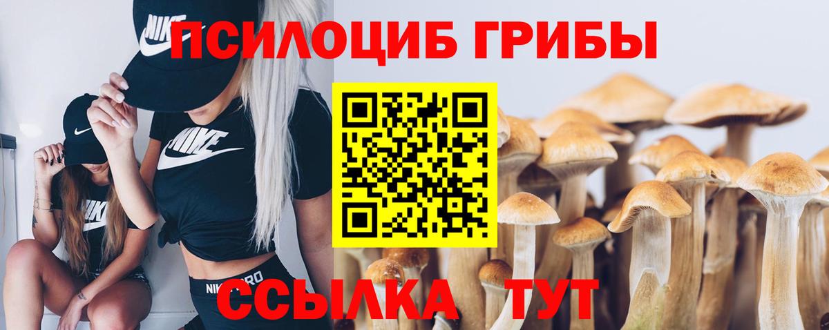 Улан-Удэ  Псилоцибиновые грибы Magic Shrooms  Вход с VPN 